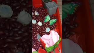 Flower Garden Sensory Bin For Kids #shorts #shortsvideo #youtubeshorts