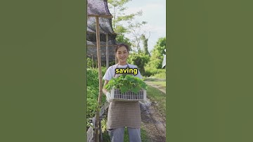 Unleashing the Power of Machine Learning!