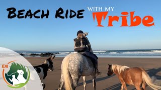A Beach Ride with My Tribe - |Pony |Donkey |Shetland |Cat |Dog