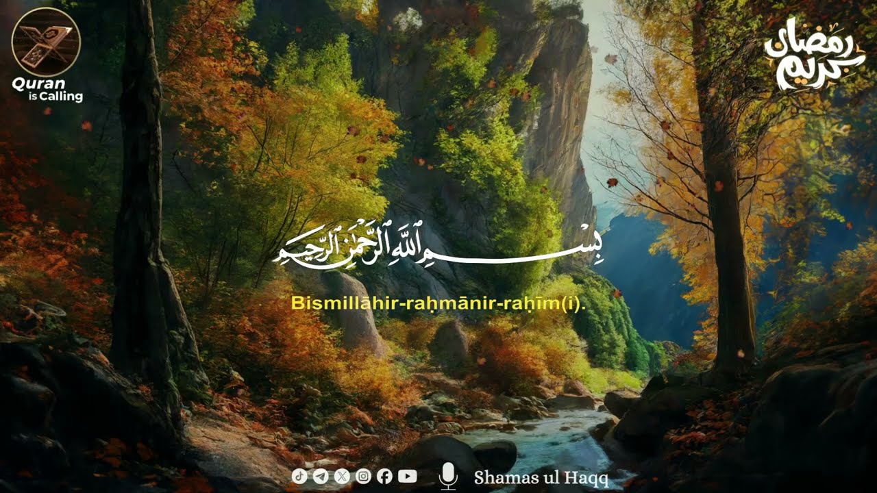 Surah Rahman (Ar-Rahman) سورة الرحمن | Deep Sleep Healing Heart Touching Quran Recitation