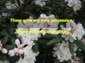 There Goes My Everything lyrics - Engelbert Humperdink