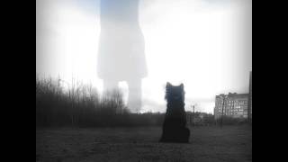 Mudi Nyusha tricks training