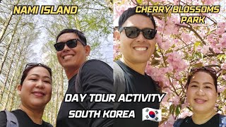 🇰🇷 Nami Island & Cherry Blossoms Park | 2nd & last tour activity