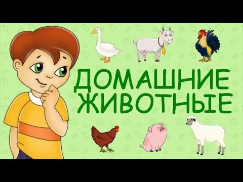 ДОМАШНИЕ ЖИВОТНЫЕ И ПТИЦЫ ДЛЯ ДЕТЕЙ