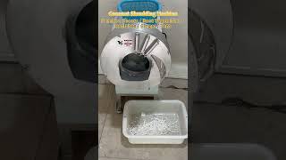 Multifunctional Shredder: Slices Coconut, Ginger, and Radish #vegetableslicer #foodprocessing