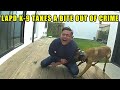 LAPD K-9 Apprehends 21-Year-Old Stolen Car Suspect