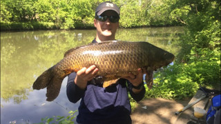 CREEK Fishing for CARP