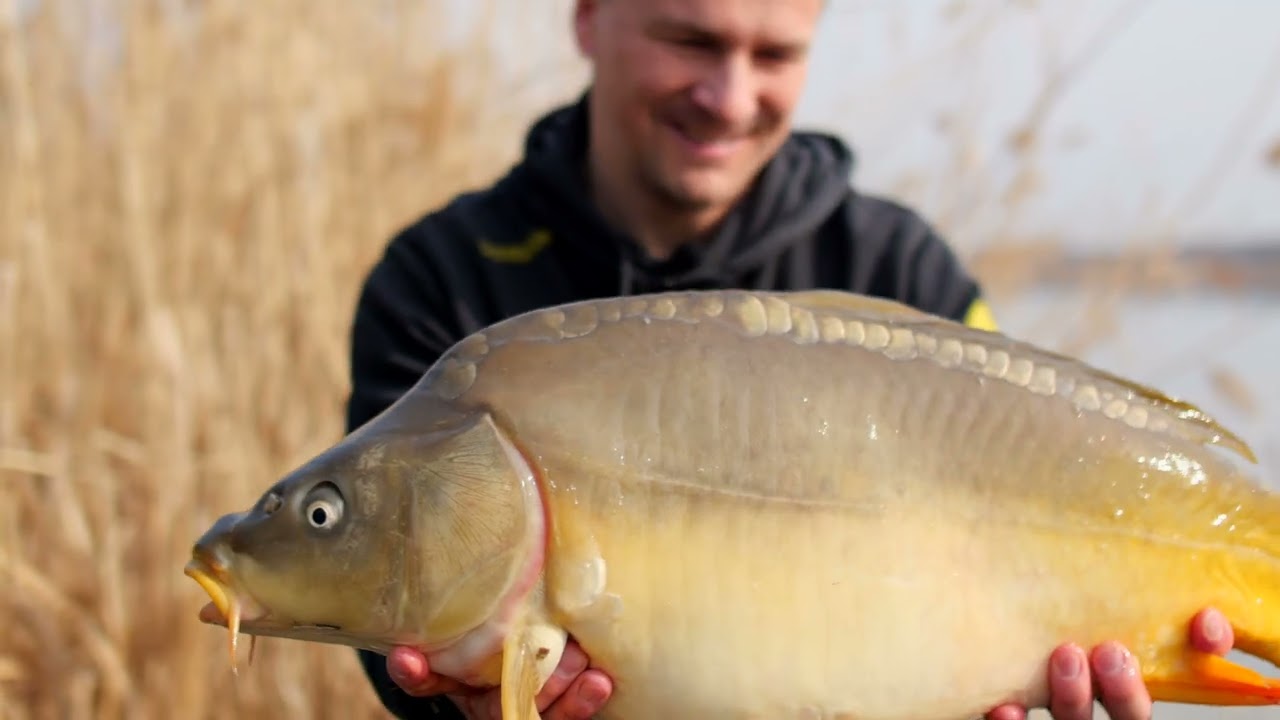 Pva Bag-es horgászat a Crazy Carp Lake-en