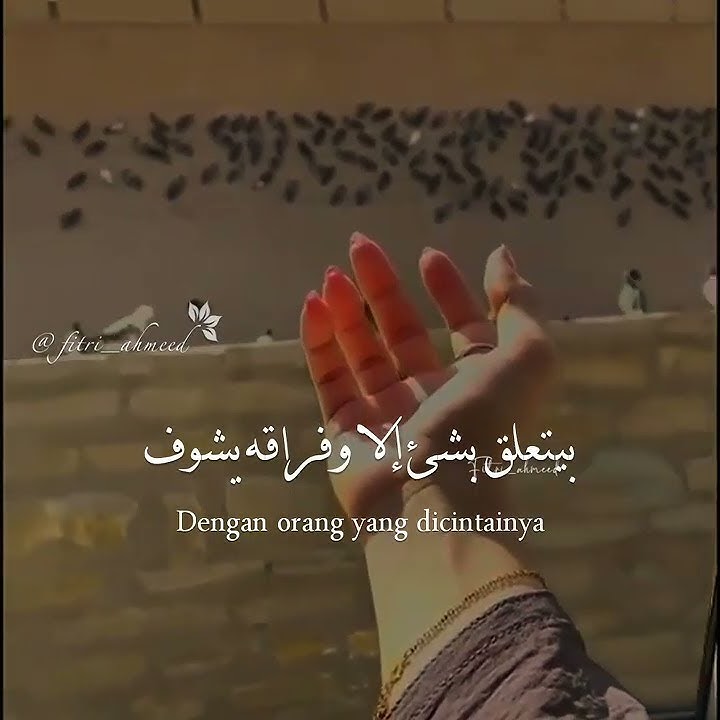 Dary ya alby || lirik terjemah by rola qadrie / داري يا قلبي