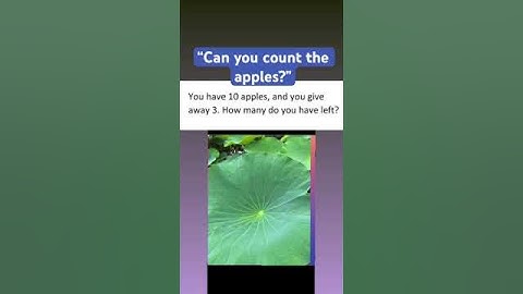 The Apple Puzzle: Can you count them?
