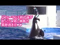 『鴨川シーワールド』シャチパフォーマンス 終了後の風景♪