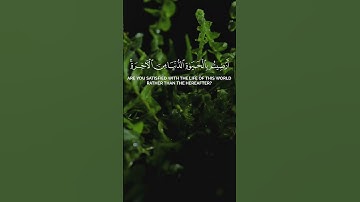 قران كريم | عبدالرحمن المسعودي التوبة ٣٧ Holy Quran | Abdulrahman Al-Masoudi Surah At-Tawbah #المصحف