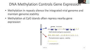 2020 STAT115 Lect12.3 DNA Methylation Function