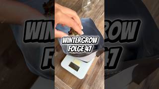 🥦 Ertrag ⚖️ Guava 🍃 Wintergrow Folge 47 ⛺️🪴