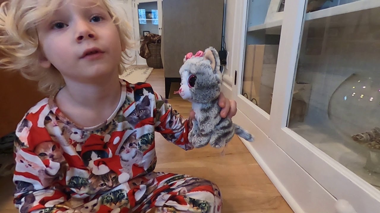 Cat Cafe YouTube Cat Cafe YouTube