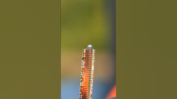 Mercury in thermometer 🌡️ #experiment #science #shorts