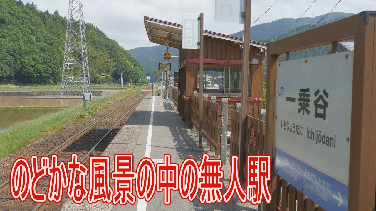 【駅に行って来た】JR西日本越美北線一乗谷駅は何の変哲もないのどかな棒線駅