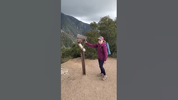 Echo Mountain: Echo Phone Demonstration