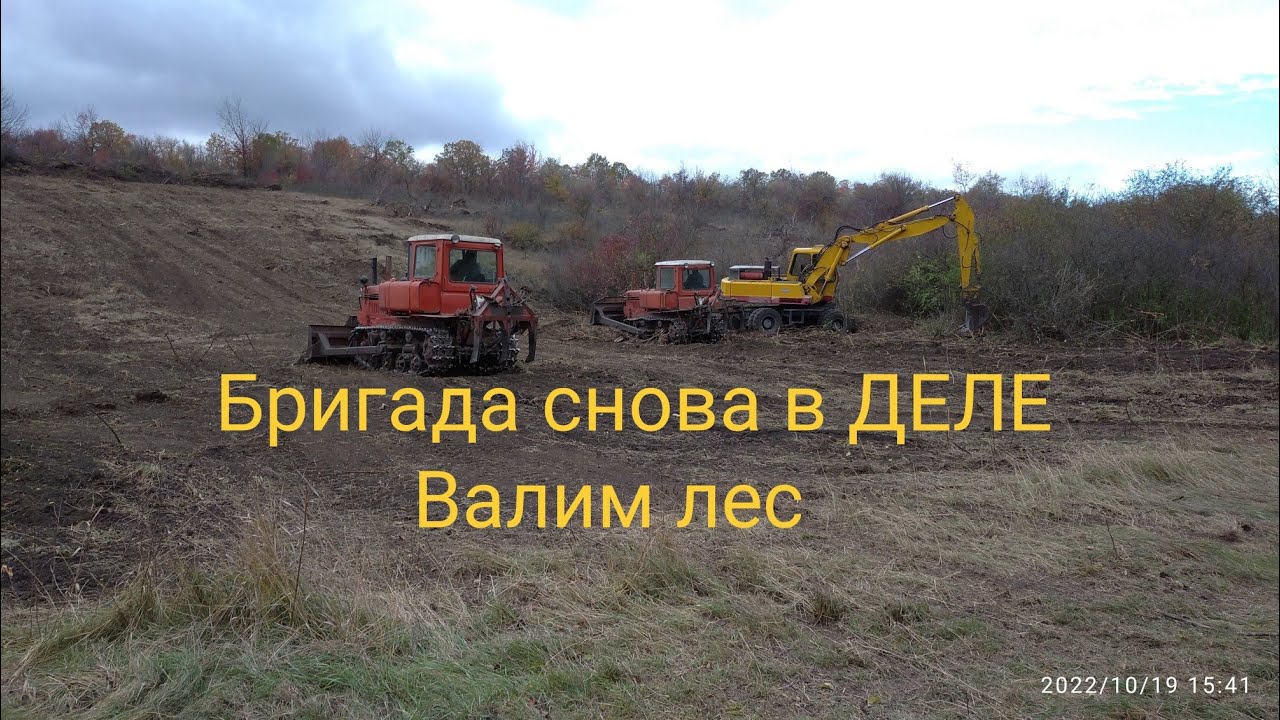 Тригада в деле валит лес на ДТ 75 - YouTube