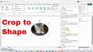 How to Crop an Image to a Shape in Microsoft Excel! #tutorial #howto #msexcel #imageediting