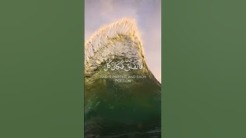تلاوة عطرة من سورة الشعراء بصوت القارئ احمد النفيس #احمد_النفيس #quran #قرآن #تلاوة_خاشعة #اذكروا