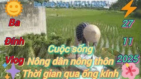 Ba Đính Vlog ! 27/11/2025 ! những công việc sớm nay triển khai ở nông thôn nông dân