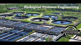 What is Biological Systems Engineering? screenshot 3