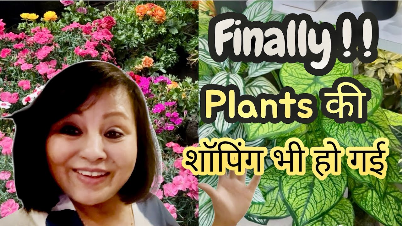 Aaj Nursery se kharide dher sare plants 😍🌺🪷\ Bela Thapa 