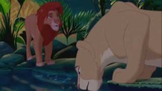The Lion King 4 Porn - The Lion King: the only Walt Disney film with a sex scene | Film |  theguardian.com