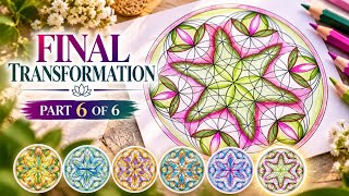 Relaxing Flower of Life Art | One Pattern, Six Transformations – Part 6