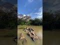 එතන ලස්සන 🥹🙏 #traveldesire #travel #travel #polonnaruwa #viral #travelvlogs