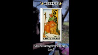 SCORPIO♏️They are so attracted to you!They will not stop until they have you |Timeless Love Reading 