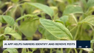 AI App Helps Farmers Identify And Remove Pests