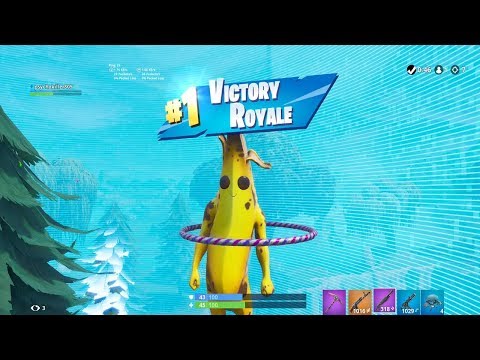 FORTNITE First Win with 