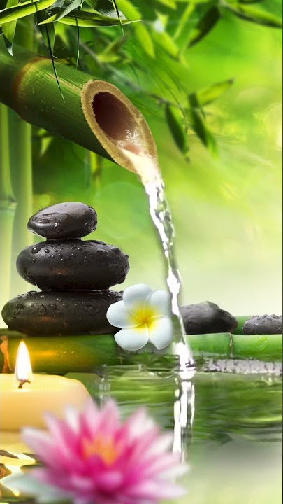 Relaxing Music Bamboo Water Fountain Meditation Music Sleep Music Piano Music Stress Relief Music