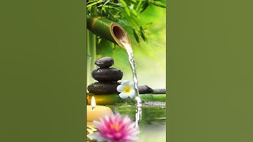 Thumbnail of Relaxing Music Bamboo Water Fountain Meditation Music Sleep Music Piano Music Stress Relief Music