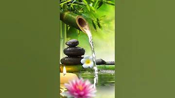 Relaxing Music Bamboo Water Fountain Meditation Music Sleep Music Piano Music Stress Relief Music 