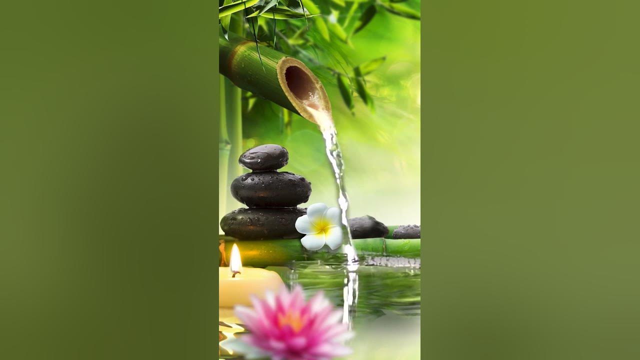 Relaxing Music Bamboo Water Fountain Meditation Music Sleep Music Piano Music Stress Relief Music