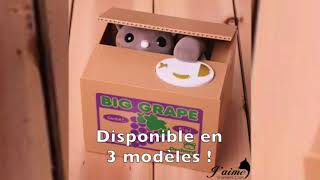 Cette Tirelire Chat Est Hilarante