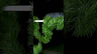 Idee Geniali Per Addobbare Casa A Natale