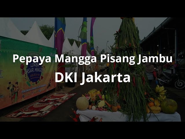 Lirik Pepaya Mangga Pisang Jambu - Lagu Daerah DKI Jakarta class=