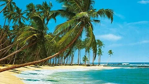 Mountain Dew 1985 Commerical Big Bass