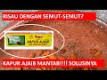 Cara Mengusir Semut Yang Mengganggu #kapurajaib #usirsemutmerah