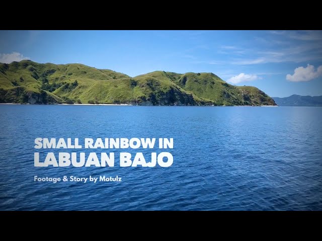 Small Rainbow in Labuan Bajo class=