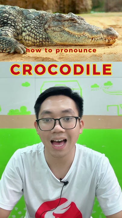 Say 'CROCODILE' Like a Pro: A Guide to Perfect Pronunciation | Harry