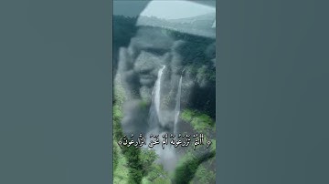 #تلاوة_خاشعة #المنشاوي