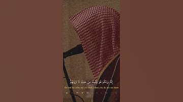 سورة الأعراف بصوت الشيخ ناصر القطامي