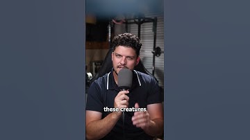 Are Octopuses Actually Aliens? 👽