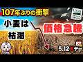 【ここから急騰!?】小麦市場が『歴史の転換点』へ!銀→原油の次は小麦だ!