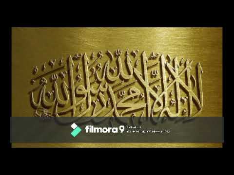 الشيخ محمود القزاز سورة القيامة 